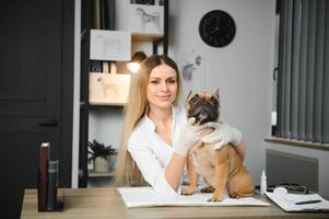 alegre jovem veterinário levando Cuidado e examinando uma lindo animal cachorro francês buldogue foto