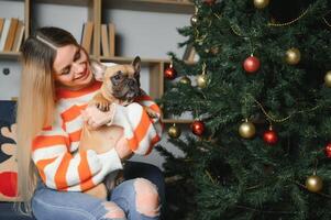 pequeno cachorro com proprietário jogando e tendo Diversão. jovem adolescente menina sentado em a sofá com dela animal. Natal árvore dentro a fundo. suave seletivo foco foto