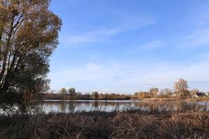 campo panorama com lago e árvores foto