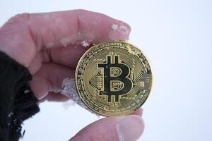 dourado bitcoin dentro masculino mão. ouro moeda do criptomoeda. foto