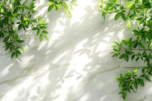 ai gerado verde folhas em uma branco mármore parede foto