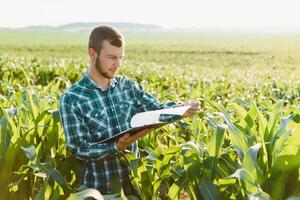 jovem agricultor inspeciona uma campo do verde milho. agrícola indústria. foto