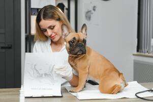 feliz veterinário médico com uma cachorro às veterinario clínica. foto