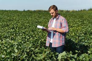 agrônomo inspecionando soja feijão cultivo crescendo dentro a Fazenda campo. agricultura Produção conceito. jovem agrônomo examina soja colheita em campo dentro verão. agricultor em soja campo foto