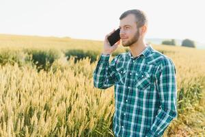 agricultor falando em Móvel telefone dentro a campo em uma ensolarado dia foto