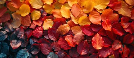 ai gerado outono folhas estão todos do diferente cores foto