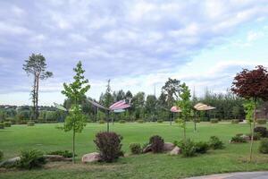 buchansky cidade parque dentro Ucrânia. foto