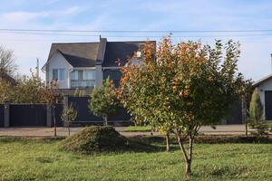 chalé dentro a residencial área. foto