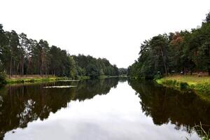lindo lago e verde floresta panorama. foto