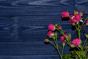 Rosa rosas em a Sombrio azul de madeira fundo. foto