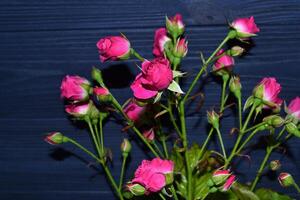 Rosa rosas em a Sombrio azul de madeira fundo. foto