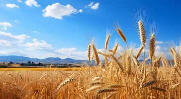 ai gerado Visão do uma lindo dourado trigo campo debaixo uma azul céu foto