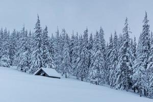 floresta de neve nos Cárpatos. uma pequena casa de madeira aconchegante coberta de neve. o conceito de paz e recreação de inverno nas montanhas. feliz Ano Novo