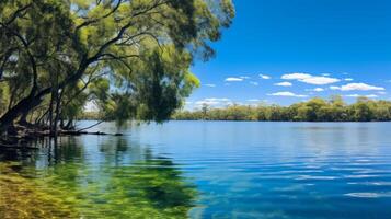 ai gerado tranquilo lago cercado de exuberante árvores foto