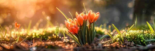 ai gerado Primavera flores estão florescendo. Está cor é brilhante e arautos a chegada do Primavera. foto