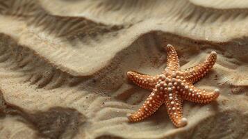 ai gerado tropical de praia cena com uma mar Estrela dentro a areia foto