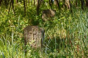 antigo pedra cruzes do a cossaco cemitério dentro trakhtemirov foto