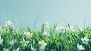 ai gerado fechar acima do Primavera flores com verde Relva em blured luz azul fundo, Primavera fundo para bandeira ou cartão foto