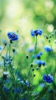 ai gerado vibrante azul cornflowers florescendo dentro uma exuberante jardim durante primavera foto