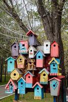 colorida gaiola aguentar em uma árvore, uma grupo do pássaro ninhos estão fez do Pranchas, pequeno casas para pássaro estorninhos, arte arte do uma carpinteiro. foto