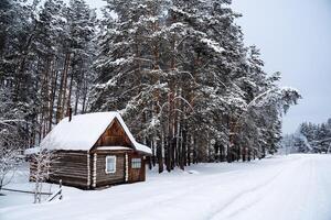 uma pequeno país casa dentro a meio do a floresta de uma país estrada. a velho guarda florestal casa. inverno floresta paisagens foto