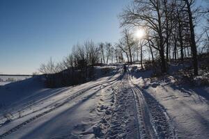 a estrada a partir de a moto de neve contra a fundo do a floresta, a luz solar brilha através a árvores, a frio inverno panorama. foto