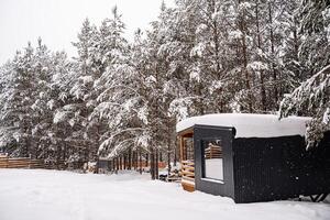 modular casa fez do Sombrio metal e luz madeira dentro inverno floresta. uma casa este leva para dentro conta tudo você precisar para uma confortável vida lado de fora a cidade. foto