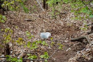 uma plástico saco com lixo estava jogado para dentro a floresta, uma saco do desperdício mentiras em a chão, poluição do a cidade parque, deliberar destruição do natureza, foto