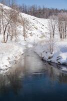 a rio fluxos Fora do uma Primavera debaixo a neve. a fluxo do aberto água contra a fundo do a inverno floresta. frio temporada, inverno panorama. foto