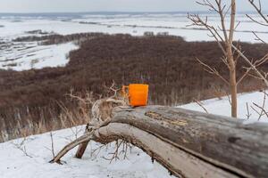 uma vidro do laranja em pé em uma registro, uma copo do chá contra a fundo do a floresta, turista pratos uma vidro carrinhos em uma árvore, uma panorama do inverno, uma caído árvore, neve mentiras natureza foto
