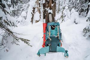 a mochila é inclinou-se contra uma árvore. equipamento para uma inverno caminhada. garrafa térmica quente chá, vermelho esteira para relaxamento preso para a lado do a bolsa. foto