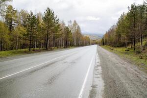 uma montanha estrada contra a fundo do uma floresta, uma rodovia alongar através montanhoso terreno, cinzento asfalto, abeto floresta ao longo a beira da estrada, uma em linha reta caminho, uma autoestrada. foto