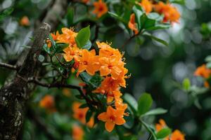 ai gerado laranja flor em uma árvore. foto