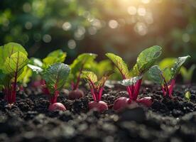 ai gerado rabanetes dentro a vegetal jardim foto