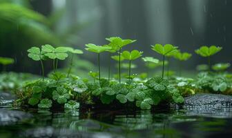 ai gerado verde plantas e flores dentro a chuva foto