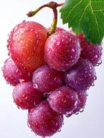 ai gerado uvas estão vermelho com gotas do água em branco fundo foto
