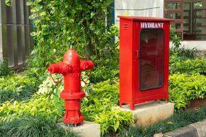 vermelho fogo Hidrante e Hidrante mangueira caixa dentro a parque. ar livre. foto