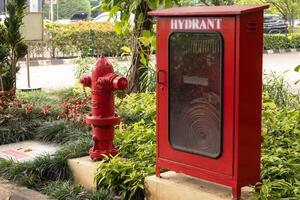 vermelho fogo Hidrante e Hidrante mangueira caixa dentro a parque. ar livre. foto
