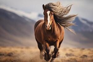 ai gerado espirituoso mustang cavalo. gerar ai foto