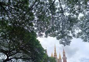 uma natureza verde árvores dentro a Jardim foto