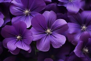 ai gerado delicado roxa flores fechar-se. gerar ai foto