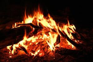 queimando fogo dentro a floresta para providenciar luz, culinária, calor e fumaça. textura do a galhos seco acima e queimado. noite fogueira. foto