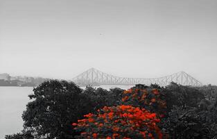 uma ponte sobre uma rio com vermelho flores foto