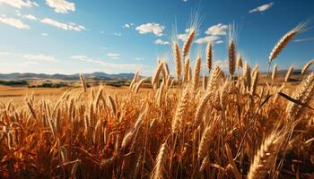 ai gerado agricultura beleza trigo, cevada, e centeio Campos debaixo verão luz solar gerado de ai foto