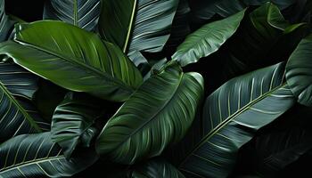 ai gerado frescor do verão dentro uma tropical floresta tropical, natureza abstrato beleza gerado de ai foto