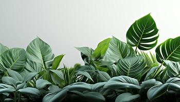 ai gerado fresco verde folhas adornar a vibrante tropical floresta tropical pano de fundo gerado de ai foto