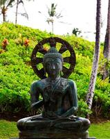 kona, oi, 2011 - bronze Buda estátua grande ilha Havaí verde plantas foto