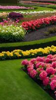 ai gerado glorioso jardins florescendo flores adornando bem cuidada gramados foto