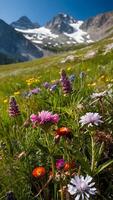 ai gerado alpino país das maravilhas flores silvestres florescendo dentro Alto montanha prados foto