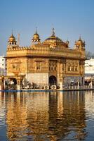 lindo Visão do dourado têmpora - Harmandir sahib dentro amritsar, punjab, Índia, famoso indiano sikh marco, dourado têmpora, a a Principal santuário do sikhs dentro amritsar, Índia foto